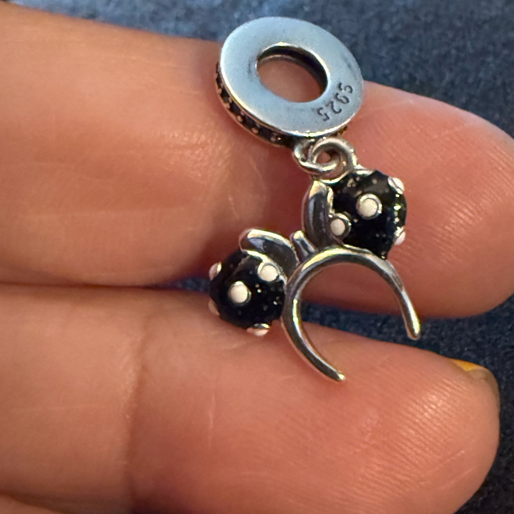 Silver And Black Charm Pendant